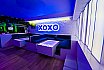 XOXO Party Galeria